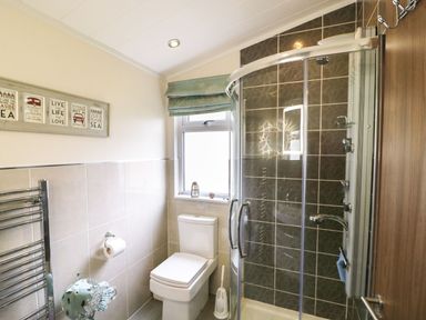 A bathroom with a shower enclosure a toilet a window with a green blind and framed wall art at Hafan Lodge 85 in Wisemans Bridge near Saundersfoot