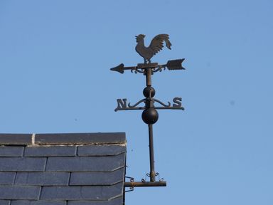 A rooftop with a weather vane featuring a rooster and directional letters n and s against a clear sky at Haimwood Byetake in Llandrinio