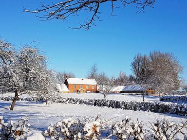 A snow-covered field with trees and a brick house under a clear blue sky at Haimwood Byetake in Llandrinio