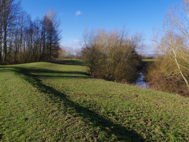 A grassy field with leafless trees and a small stream under a blue sky at Haimwood Byetake in Llandrinio