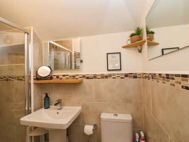 A bathroom with a sink a toilet a shower a wall shelf with plants and cleaning supplies at Hardings cottage in Minehead