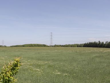 A green field with electricity pylons and trees in the background at Little Knaplock in Fiddington near Combwich Somerset