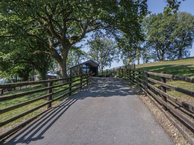A pathway leading to a shelter surrounded by trees at Oak Tree View Nantmel near Rhayader