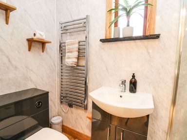 A bathroom with a toilet a sink a wall-mounted towel rail and a window with a plant at Highland View in Rhayader