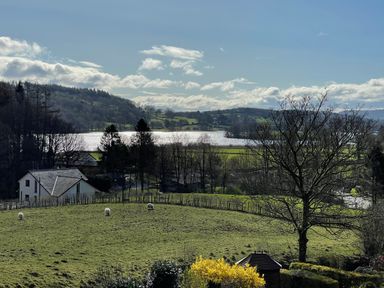 A field with sheep and a house near trees and a lake with hills in the background at Estcote Roger Ground near Hawkshead
