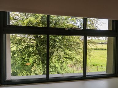 A view of green trees and grass through a window at Bank Hurst Coach House in Ulverston