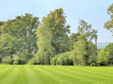 A green grass field with trees and shrubs in the background at House on the Green in Chipping Norton