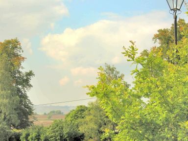Trees and bushes with a street lamp and a partly cloudy sky at House on the Green in Chipping Norton
