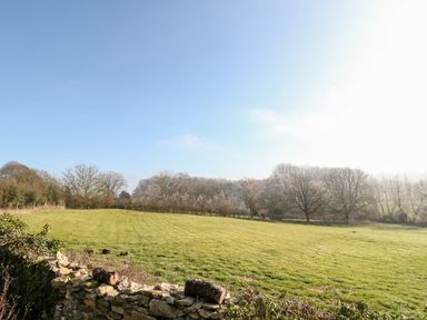A grassy field with trees and a stone wall under a clear sky at Holly Cottage in Minster Lovell