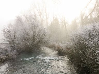 A river flowing through frosty bushes and trees with fog in a forest