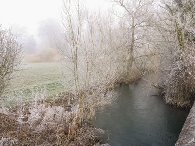 A river surrounded by leafless trees and frost covered grass at Holly Cottage in Minster Lovell