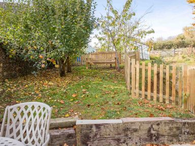 A garden with trees apple fruits a wooden bench a wooden fence and a metal chair at Oyster Barn in Naunton