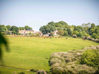 A green field with horses grazing near buildings and trees at Oyster Barn in Naunton