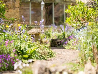 A garden pathway with flowers and greenery near a stone building at Stanley Cottage in Chipping Campden