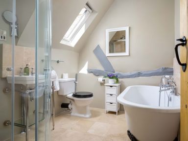 A bathroom with a toilet a sink a bathtub a small cabinet with a plant and a slanted skylight window at East Leaze in Chipping Campden
