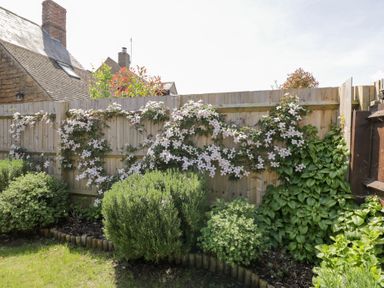 A garden with green shrubs and white flowers climbing on a wooden fence at Millbank Cottage in Mickleton