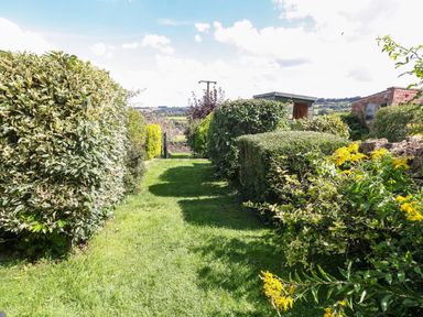 A garden path with trimmed hedges yellow flowers and a shed in the background at Red Fawn Cottage in Blockley