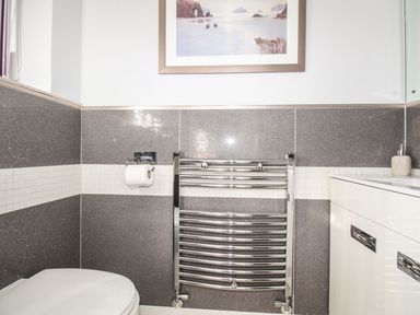 A bathroom with a toilet paper holder radiator and a sink cabinet at Beach View House in Wyke Regis