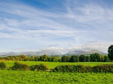 A green field with bushes and trees under a blue sky with clouds and mountains in the distance at Caban Cariad in Bryngwran near Bodedern