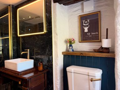 A bathroom with a sink and toilet at Pensarngerrig in Rhydlewis