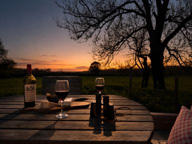 A table with wine, cheese, and binoculars at Pensarngerrig in Rhydlewis