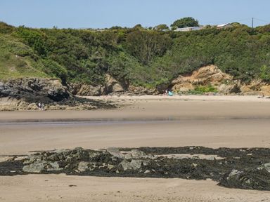 A beach with sand rocks and seaweed and green hills with bushes and houses at The Lodge in Rhosybol