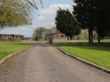 A paved driveway with green grass and trees surrounding wooden cabins at Ruperts Retreat in Nateby near Garstang