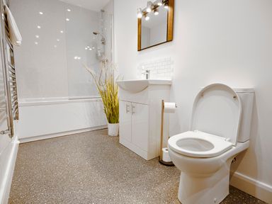 A bathroom with a toilet a sink cabinet a mirror bathtub with shower and a plant at Ingleborough Lodge Rathmell near Settle