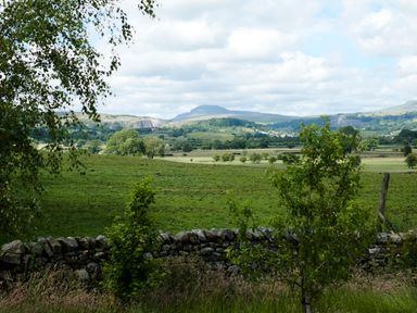 A rural landscape with green fields trees and a stone wall at Ingleborough Lodge in Rathmell near Settle