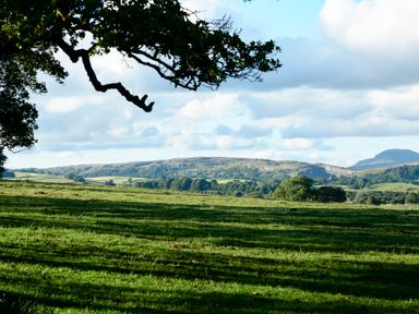 A grassy field with trees and hills in the background under a partly cloudy sky at Ingleborough Lodge in Rathmell near Settle