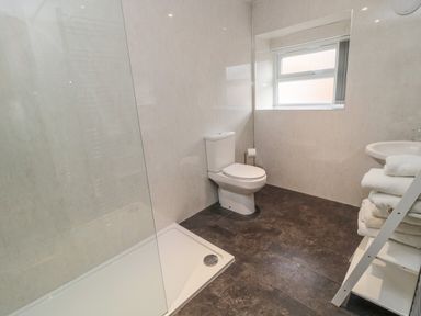 A bathroom with a shower, toilet, window, and a ladder shelf with folded towels at Barnacre in Longhirst near Morpeth