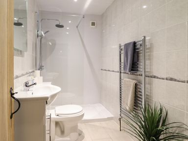 A bathroom with a shower area a toilet a sink with toiletries a towel rack with towels and a plant at Gwel Y Mor in Beaumaris