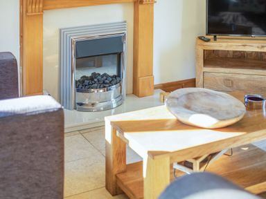 A living room with a gas fireplace wooden coffee table and wooden TV stand at Millers Lodge in St Keyne near Liskeard