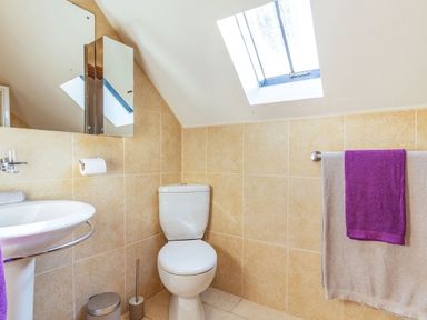 A bathroom with a toilet sink mirror skylight and towels at Millers Lodge in St Keyne near Liskeard