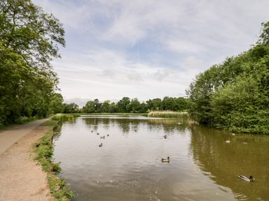 A lake with ducks on the water and a pathway with trees on the left at Hock-tide Cottage in Kenilworth