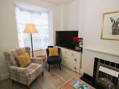 A sitting area with two armchairs a floor lamp a cabinet with a television and a fireplace at Primrose Cottage Winchcombe