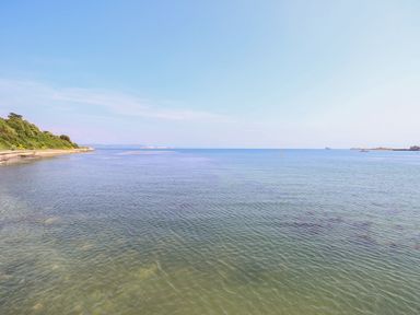 A view of the sea with trees on the left and a clear sky at Blanche Cottage Brewers Quay Harbour