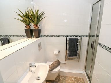 A bathroom with a sink toilet shower and plants on a shelf at Puffins in Tenby