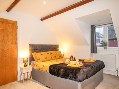 A bedroom with a bed with dog print yellow bedding bedside table with lamp and a window at Pams House in Weymouth