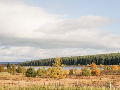 A landscape with a grassy field trees and a body of water with a forest in the background at Ptarmigan Lodge in Glengoulandie near Aberfeldy