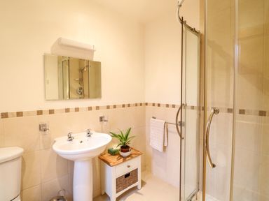 A bathroom with a pedestal sink a mirror a plant on a cabinet a towel rack and a glass shower enclosure at Ptarmigan Lodge in Glengoulandie near Aberfeldy