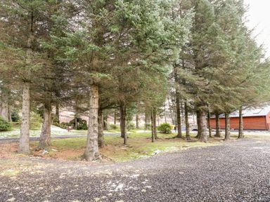 An outdoor area with pine trees gravel ground and a wooden building at Ptarmigan Lodge in Glengoulandie near Aberfeldy