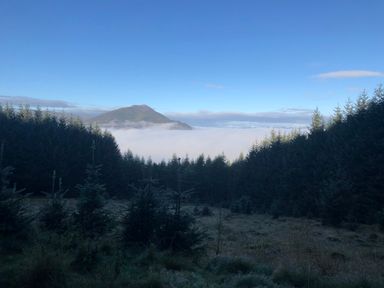 A mountain surrounded by clouds behind a forest of evergreen trees at Ptarmigan Lodge in Glengoulandie near Aberfeldy