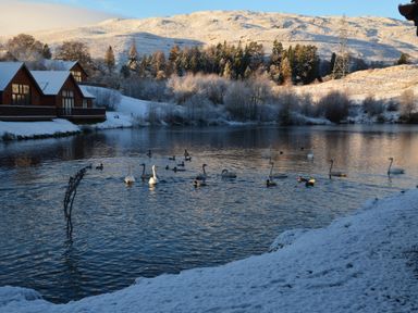 A lake with swans and ducks surrounded by snowy hills and houses at Ptarmigan Lodge in Glengoulandie near Aberfeldy