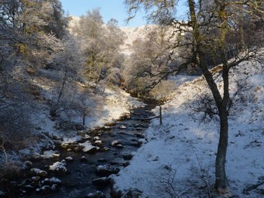 A narrow river flowing through a snowy woodland with trees covered in snow at Ptarmigan Lodge in Glengoulandie near Aberfeldy