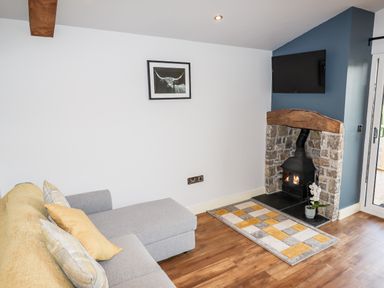 A living room with a gray sofa cushions a fireplace with a wood burning stove and a television mounted above at Celyn in Cyffylliog