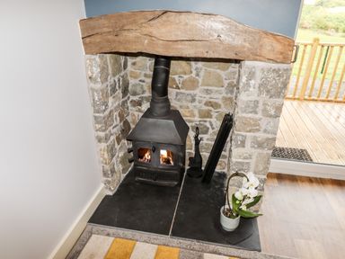 A wood burning stove in a stone fireplace with a wooden mantel and a potted plant on the hearth at Celyn in Cyffylliog