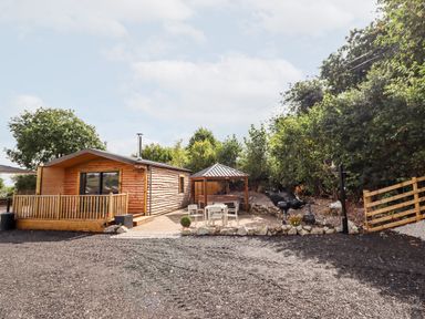 A wooden cabin with a porch and outdoor seating area with a gazebo and barbecue grill surrounded by trees at Celyn in Cyffylliog