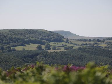 A landscape with rolling hills trees and fields at Chalet 1 in Sherburn