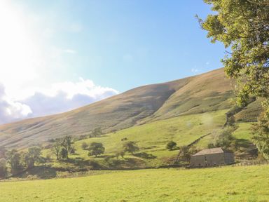 A grassy field with scattered trees and a stone barn near a hill under a blue sky at Hollowgill Barn in Sedbergh